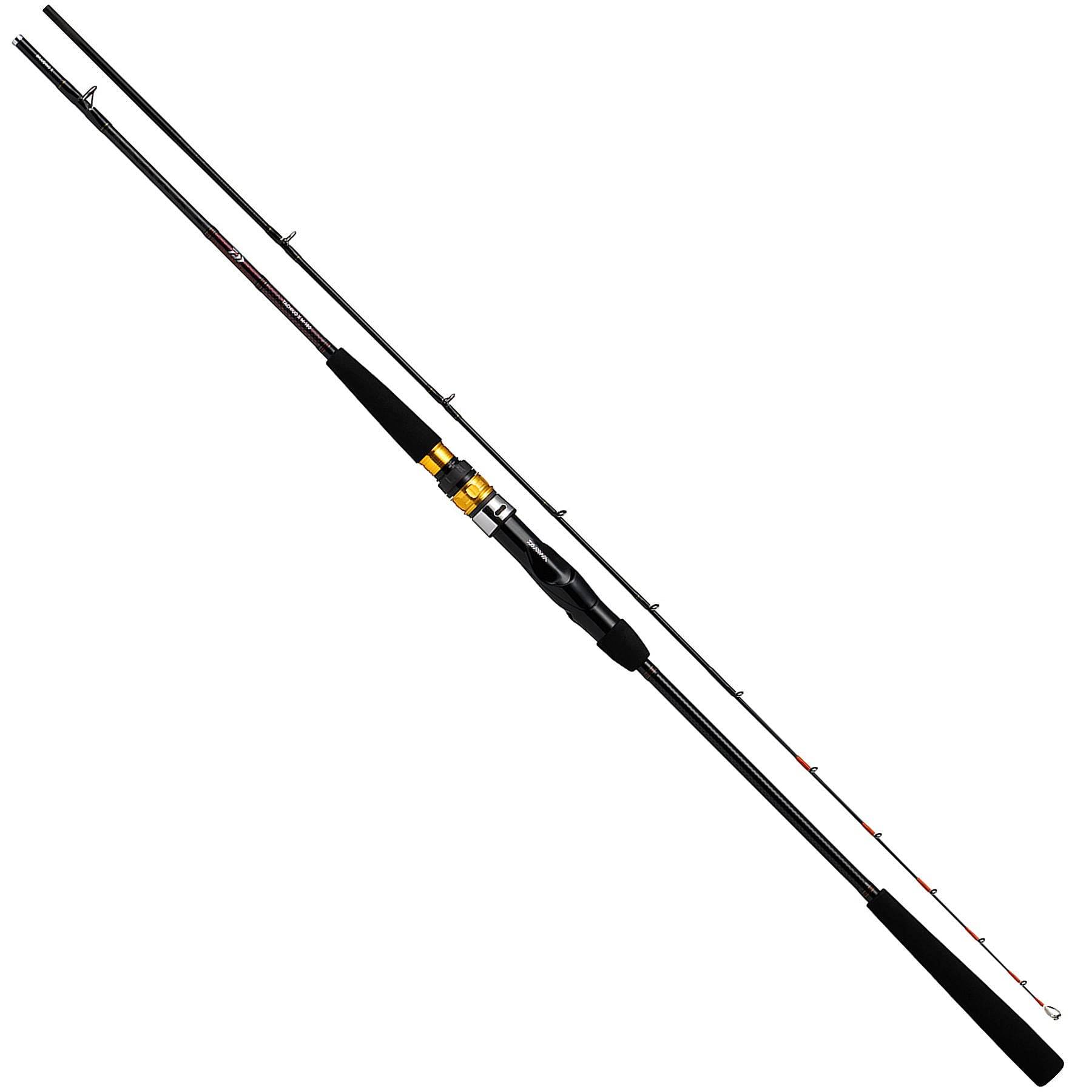 Daiwa Rod 21 Tachiuo X (DAIWA) HH-180