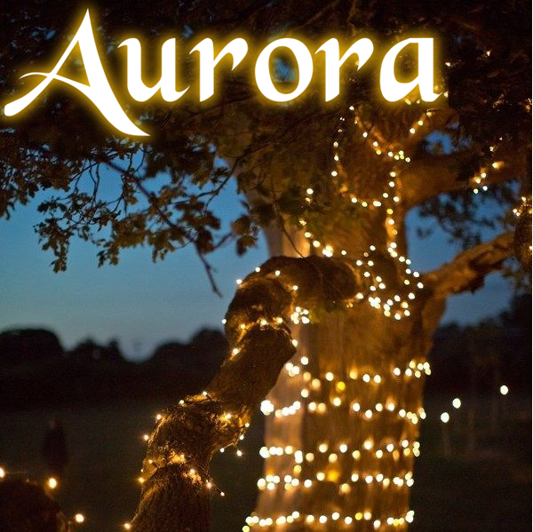 Aurora PRO solcellsslinga (200 LED, varmvit)