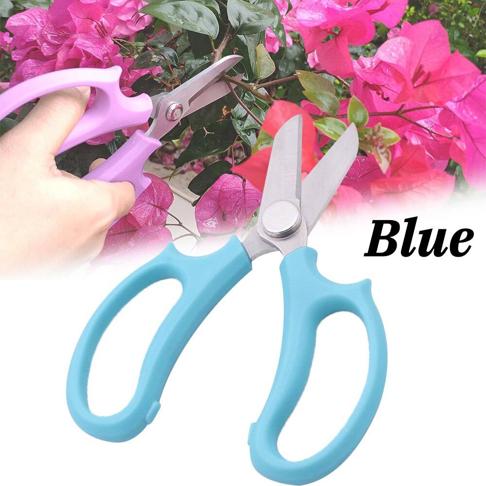 Gren- och lövsax i rostfritt stål beskärning av krukväxter blomsteraffär blomsterarrangemang hushållssax för trädgårdsarbete - Blå