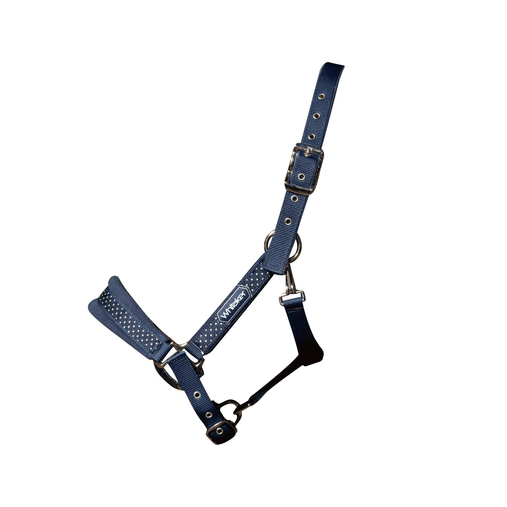 Whitaker San Francisco Horse Headcollar Full