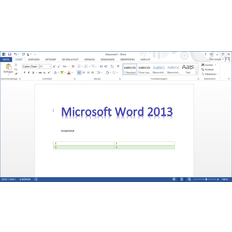 MS Office 2013 Professional OEM Key