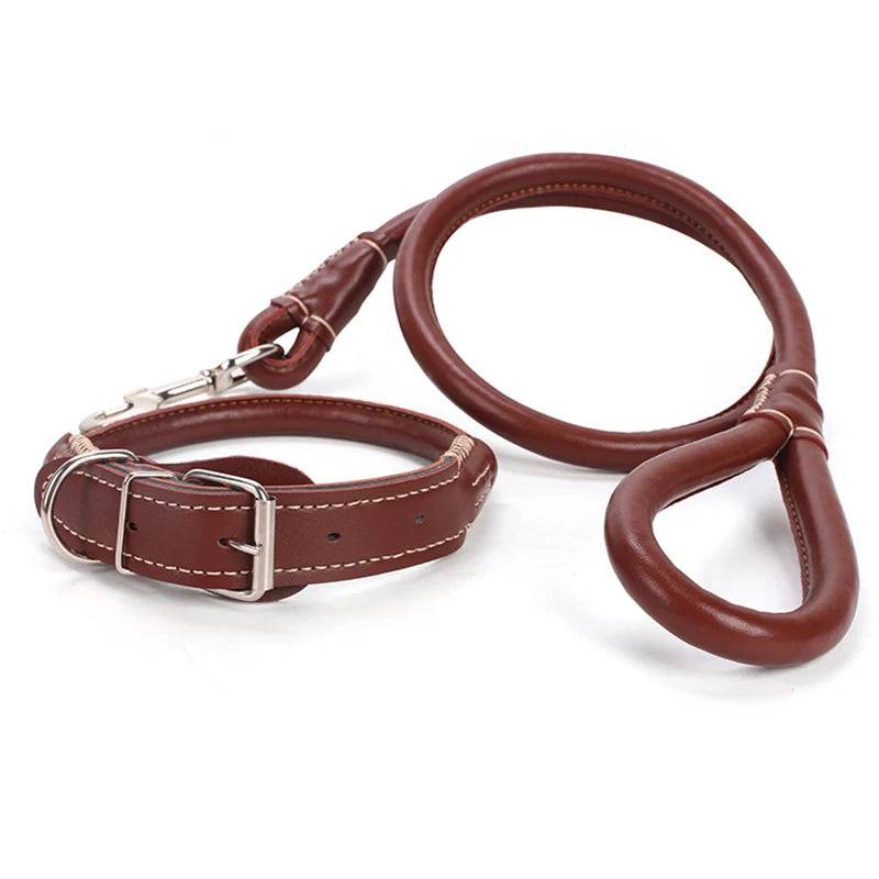 Leather Dog Collar & Leash Set for Medium & Large Dogs - Brown / M-suit 10-20kg / SPC (M-suit 10-20kg)