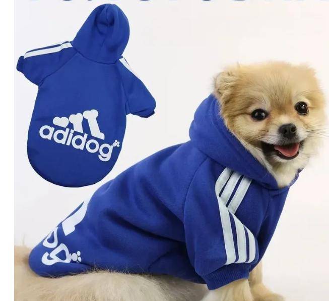 Husdjur Hundkläder Knapp Fyrbent Sport Utomhus Sweatshirt