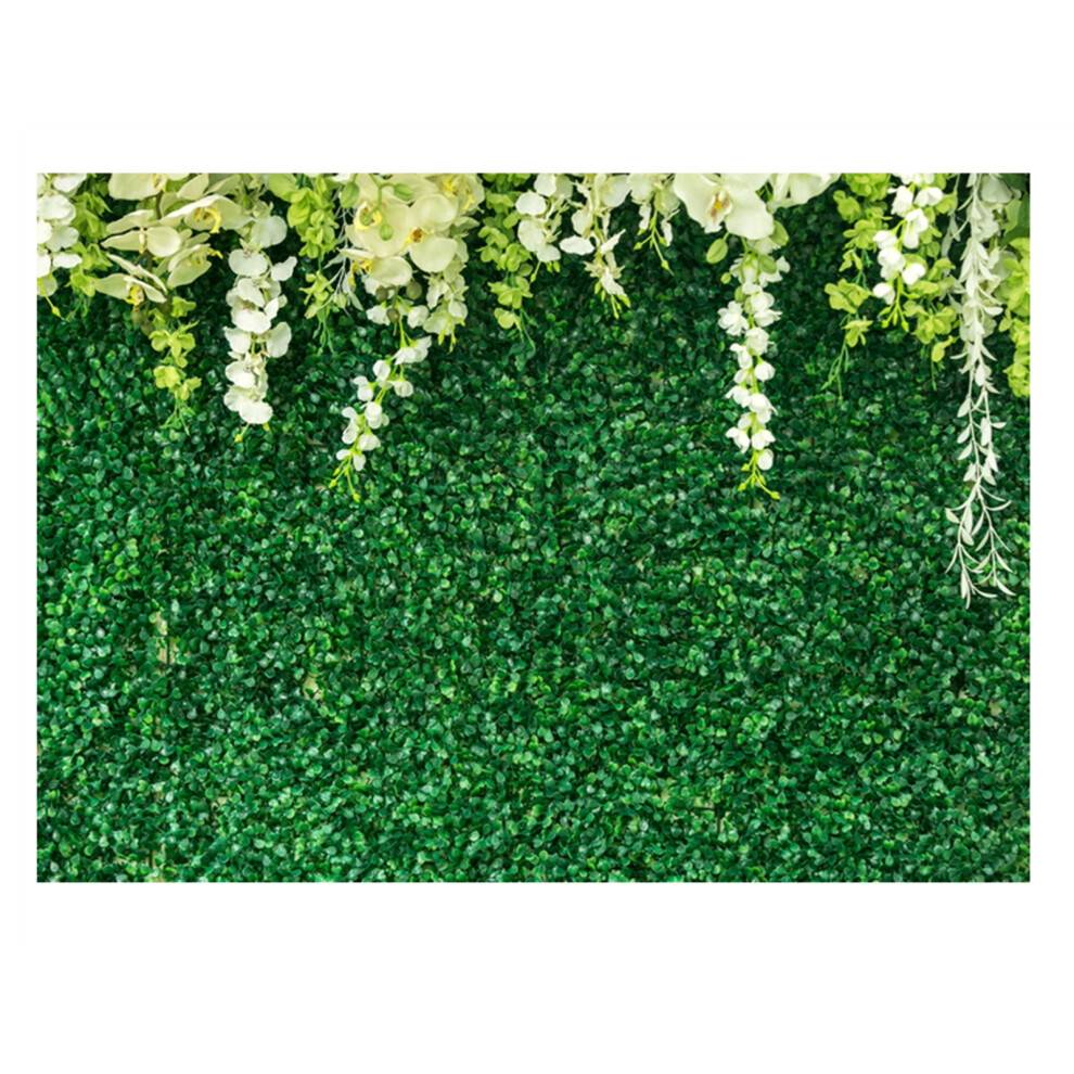 Grøn baggrund til bryllupsbrusebad, blomsterfotografibaggrund med grønt bladgræsvæg og hvide blomsterfotobaggrunde, babyshower