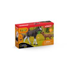 Schleich Elg Familie 42603