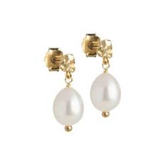 Poe studs, gold/pearl