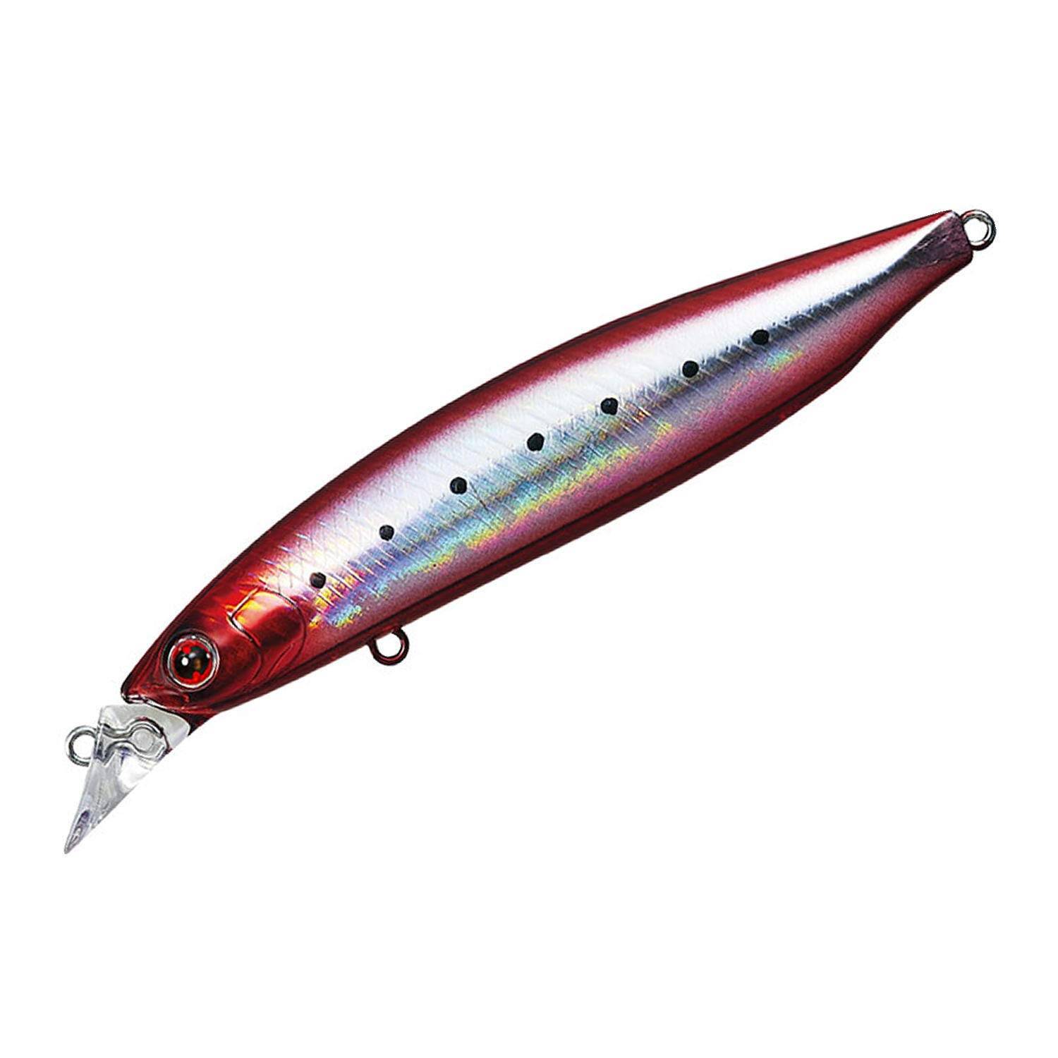 Daiwa Shoreline Shiner Z Vertis R 98S