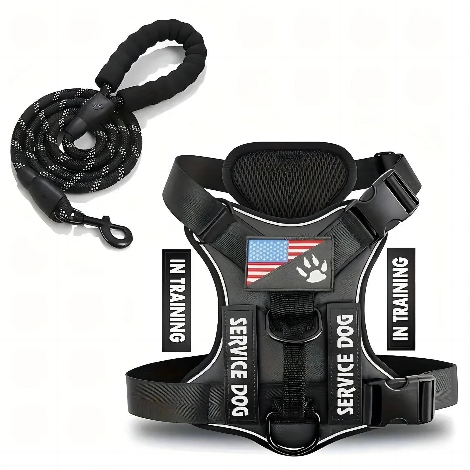 Escape-Proof No-Pull Dog Harness & Lead Set with Reflective Strips - DARK GRAY / M (M)