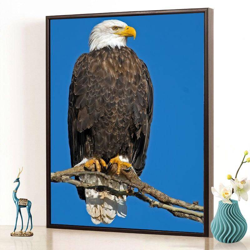 DIY Eagle 5D diamantmålning hel rund borr Djur Diamantbroderi korsstygn Mosaik Fågel Heminredning Väggkonst Present