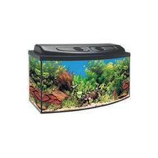 Akwaland Akvarium med välvd ruta och ramp - 54 Liter