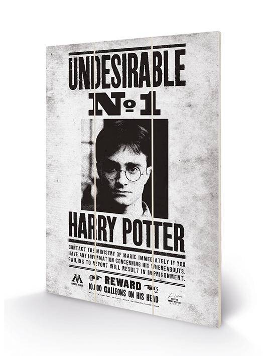 Harry Potter - Wood Print 20X29.5 - Undesirable No1