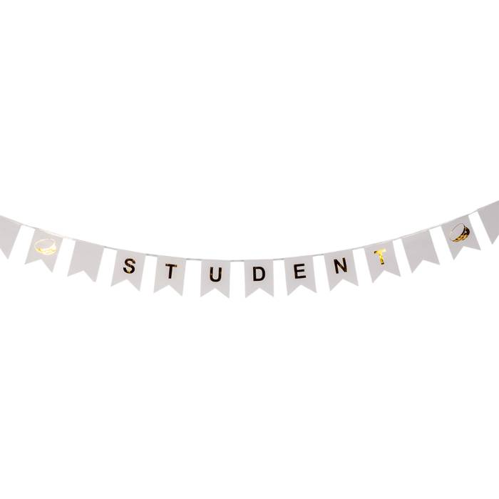 Student banner guirlande med flag 3 m.