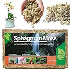 Wpsagek 2 Långfiber sphagnummossa | Orkidé Sphagnum Moss Torkad | Naturlig orkidéblandning, perfekt för att rota växter och sticklingar