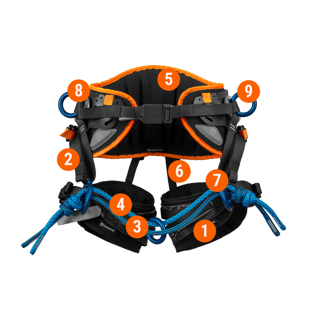 Leg Loop Left.