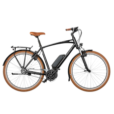 Riese & Müller Cruiser rücktritt