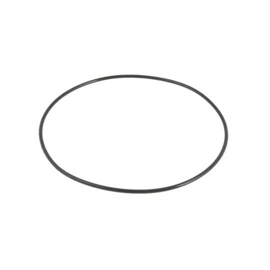 Tank O-ring til Sandfilter 2.006L BestWay Reservedele P6662ASS16