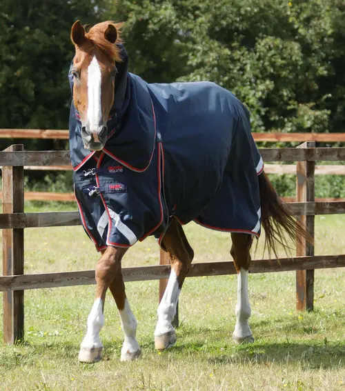 Premier Equine Buster 50g med aftagelig Snug-Fit hals - Navy
