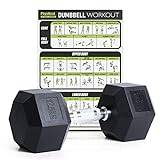 PhysKcal Hex Rubber Dumbbells Hanteluppsättning 12,5 kg, tillverkad av miljövänligt polygummi med låg lukt, perfekt för Renegade Rows, Devil Press, crosstraining