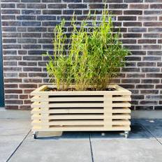 Plantekasse af Traller | Nye Traller | 170 cm / 43 cm (7 Lægter)