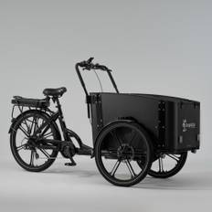 Cargobike Flex