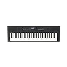 Roland GO:KEYS 5 Music Creation Keyboard | 61-tangenters klaviatur | ZEN-Core-motor med över 1 000 inbyggda ljud | Inbyggda stereohögtalare | Mikrofoningång — Grafit