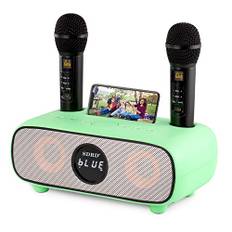 Karaoke Maschine,Bluetooth Karaoke Anlage für Erwachsene und Kinder, Tragbares PA-System mit 2 Mikrofonen,Lautsprecher mit Handyhalter/USB/TF-Karte/AUX-In,für Heimparty,Picknick,Outdoor/Indoor(grün)