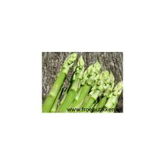 Asparges. Asparagus officinalis. Mary Washington. Frø.