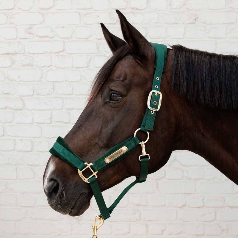 Kentucky grime "Velvet" - Pine Green.