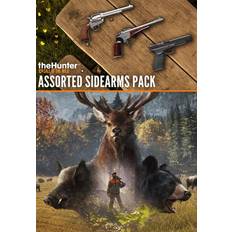 theHunter: Call of the Wild™ - Assorted Sidearms Pack