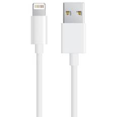 iPod / iPhone / iPad - Lightning USB kabel - 0.20 m