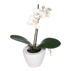 Konstgjord växt – Orkidé 21 cm Vit
