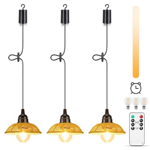 Lightsjoy 3er Hängelampe mit Batterie Outdoor Indoor Dimmbar Fernbedienung