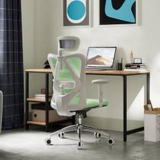 SIHOO M18 Ergonomisk kontorsstol, datorskrivbordsstol med justerbart nackstöd och ländryggsstöd, svängbar stol med hög rygg för hemmakontor (morgongrön)