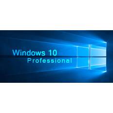 Windows 10 Professional OEM