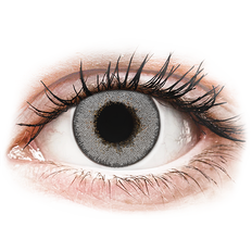 TopVue Daily Color - Grey - endagslinser med styrke (2 linser)