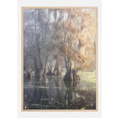 Louisiana Swamp Plakat (50x70 cm)