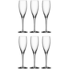 Orrefors More Champagneglas 18 Cl 6-pack - Champagneglas Kristallglas Klar - 6310104