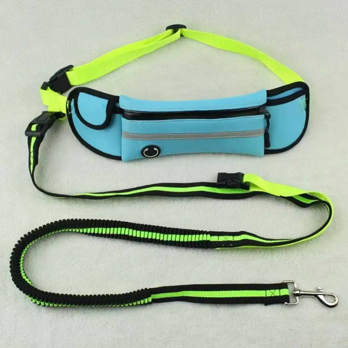 Hands-Free Running Dog Leash Set with Waist Bag & Reflective Belt - blue