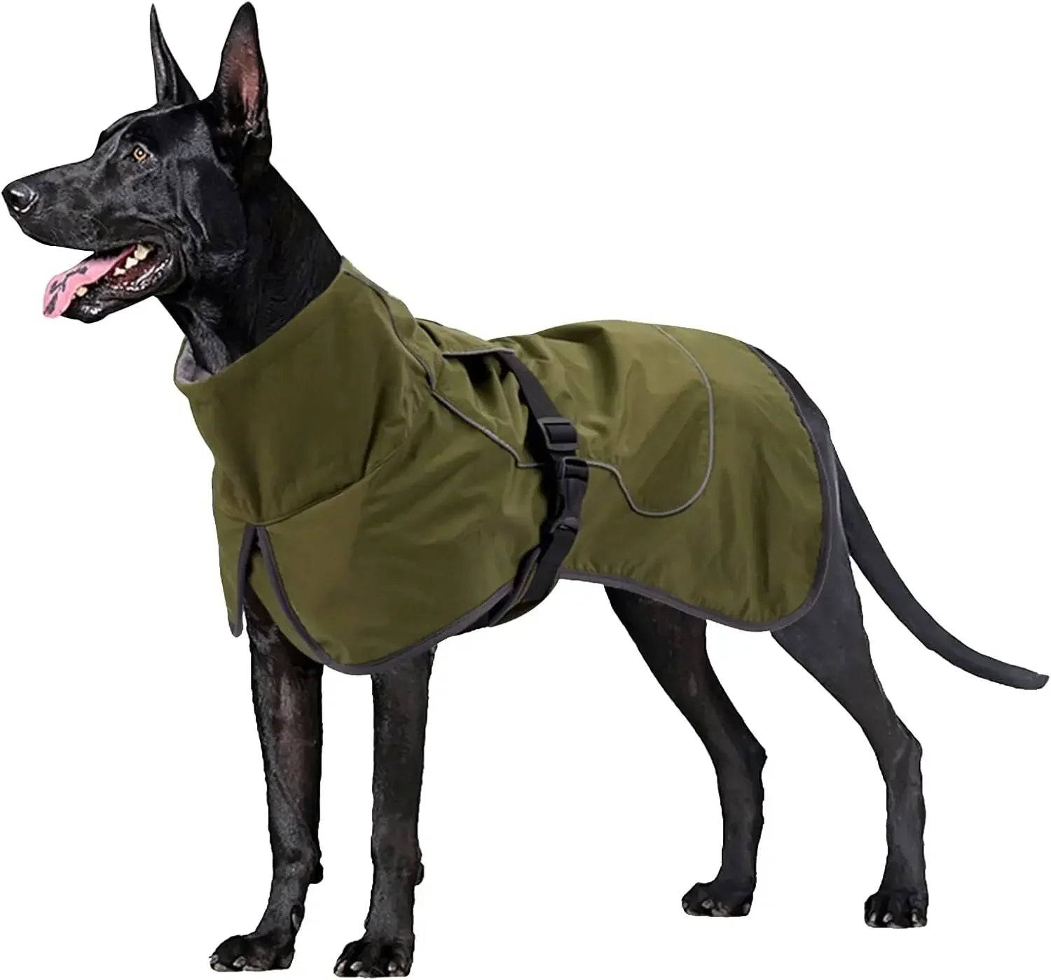 Waterproof Dog Raincoat with Fleece Lining - Green / M (M)