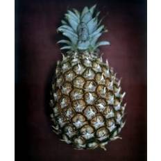 Tørret Ananas 100 g.