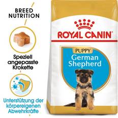 ROYAL CANIN German Shepherd Puppy torrfoder för valpar av rasen German Shepherd 24 kg (2 x 12 kg)