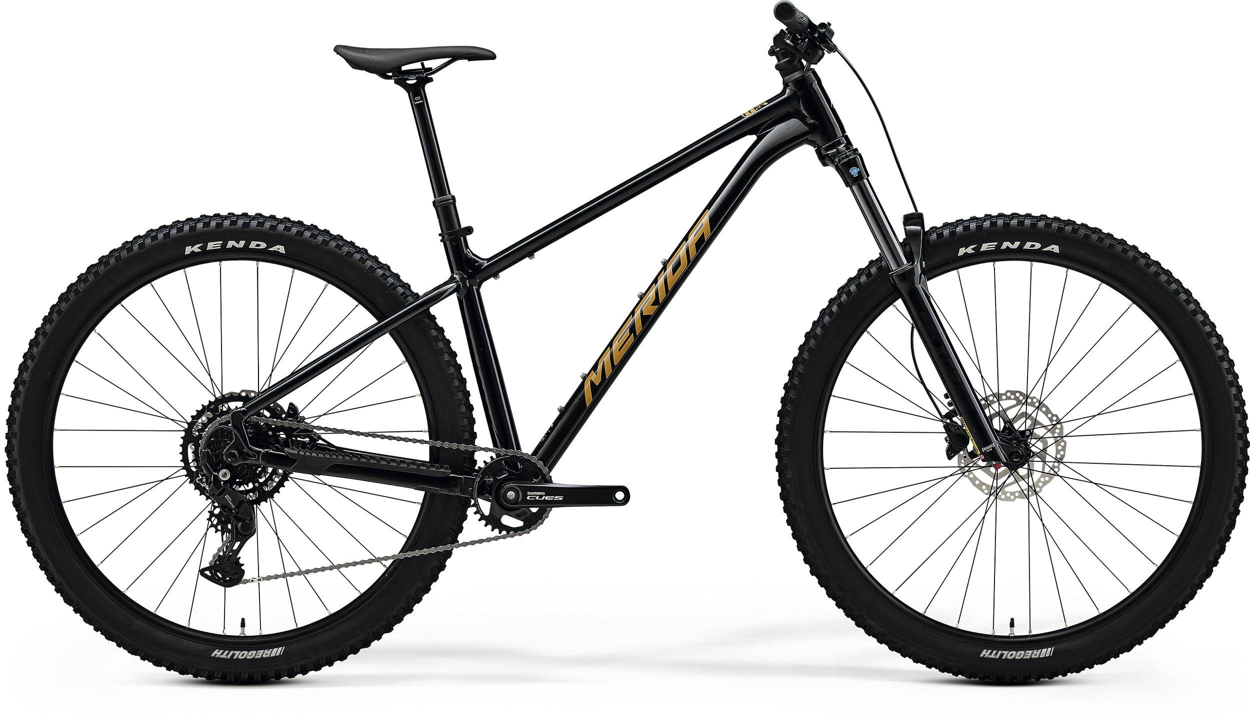 Merida Big.Trail 300 | Black/Brown