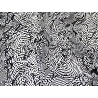 Deadstock Embroidered Sheer Chiffon Fabric Black & White