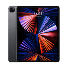 Apple iPad Pro 12.9" 4G (4th Generation) 128 GB / Okej skick / Rymdgrå