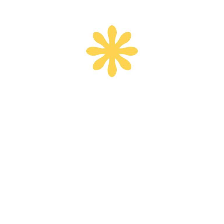 Punch - 2,5cm - Daisy