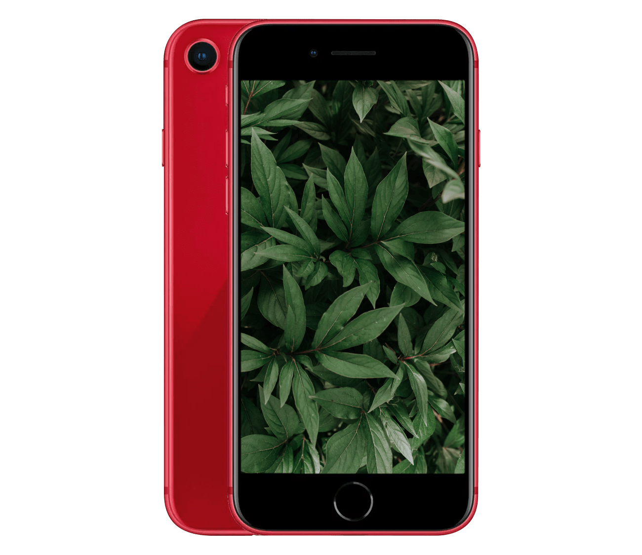 iPhone 8
