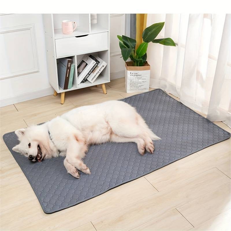 TEMU Washable Dog Pee Pads, Reusable Dog Potty Training Pads, Puppy Absorbent Urine Pad With Non-slip Waterproof Backing