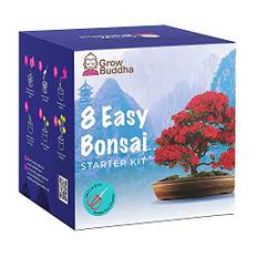 Bonsai Tree Kit | Odla dina egna 8 vackra Bonsai Tree Sorter hemma| Komplett odlingskit - Lämpligt för nybörjare till experter - Odla inomhusväxter - Minnesvärd gåva för kvinnor, män och barn