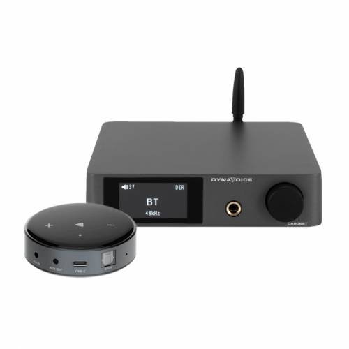 Dynavoice CA802BT stereoförstärkare med Wiim Mini nätverkstreamer
