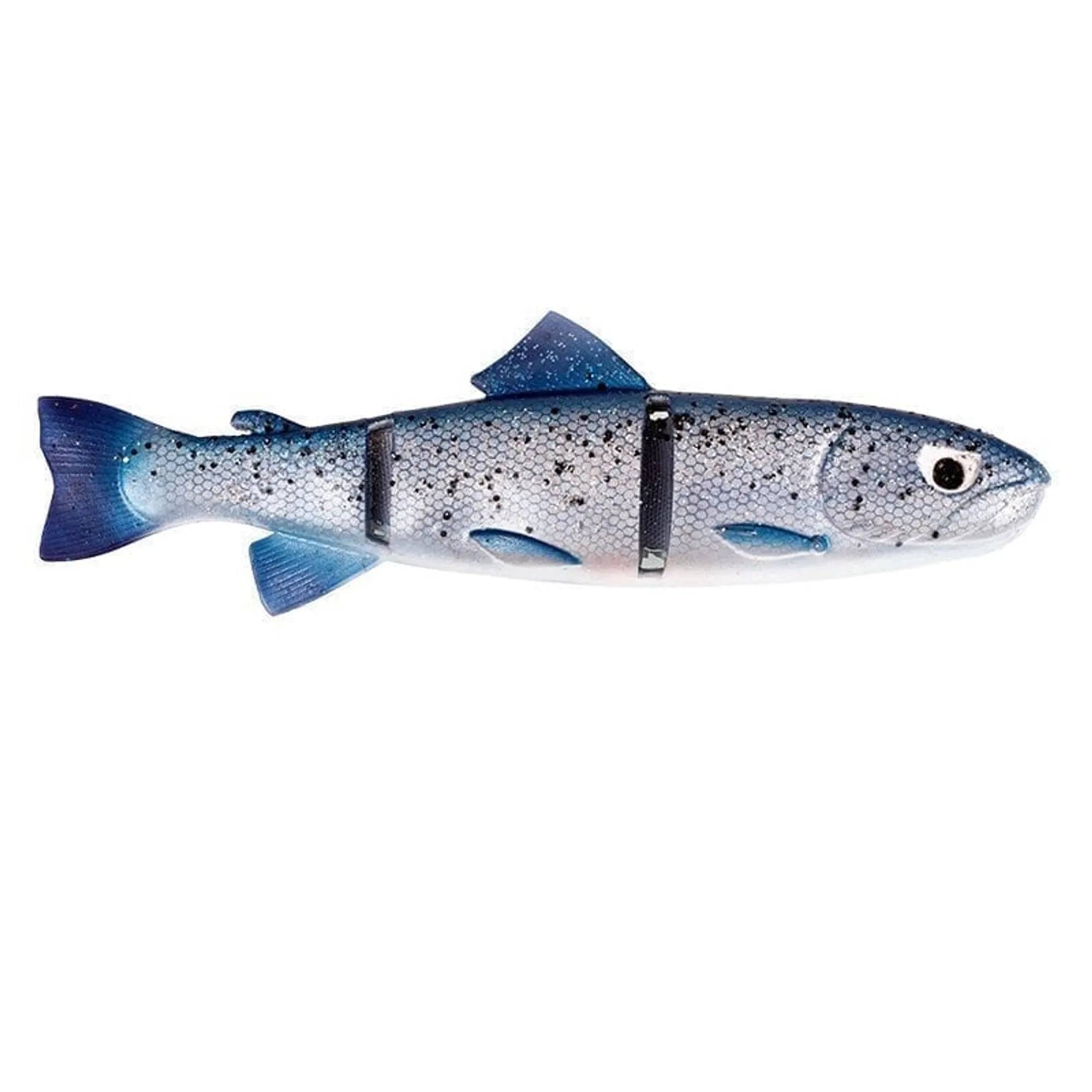 Living Trout - 23cm / Blue explosion